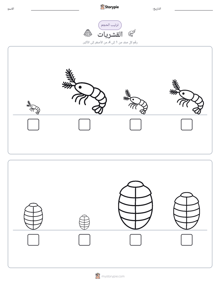 ترتيب الحجم