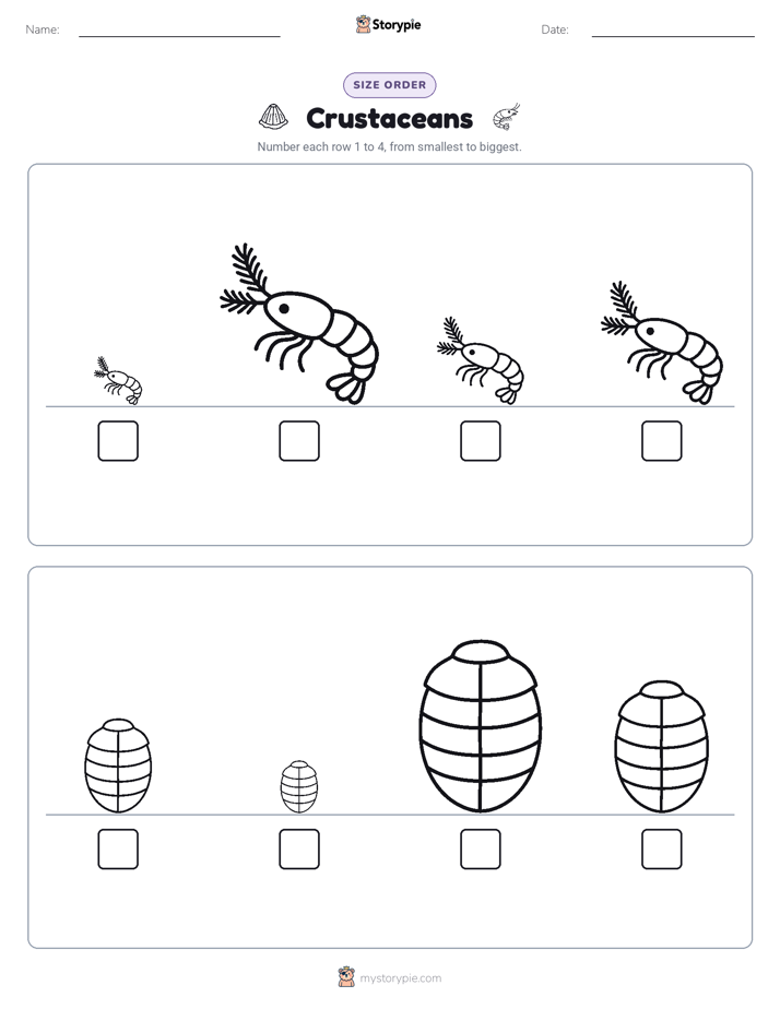 Size Order
