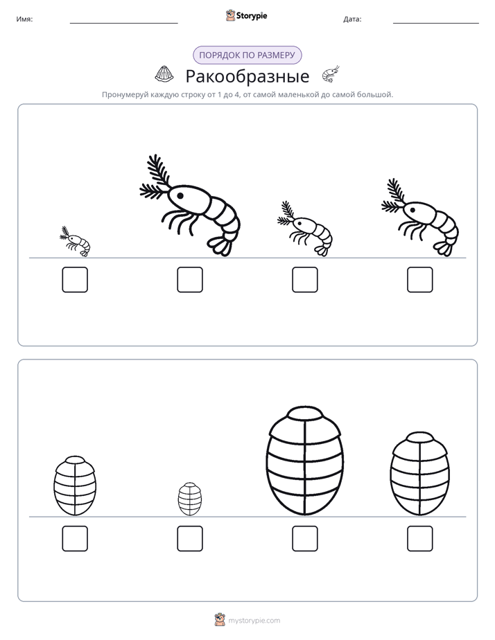 Размеры в порядке