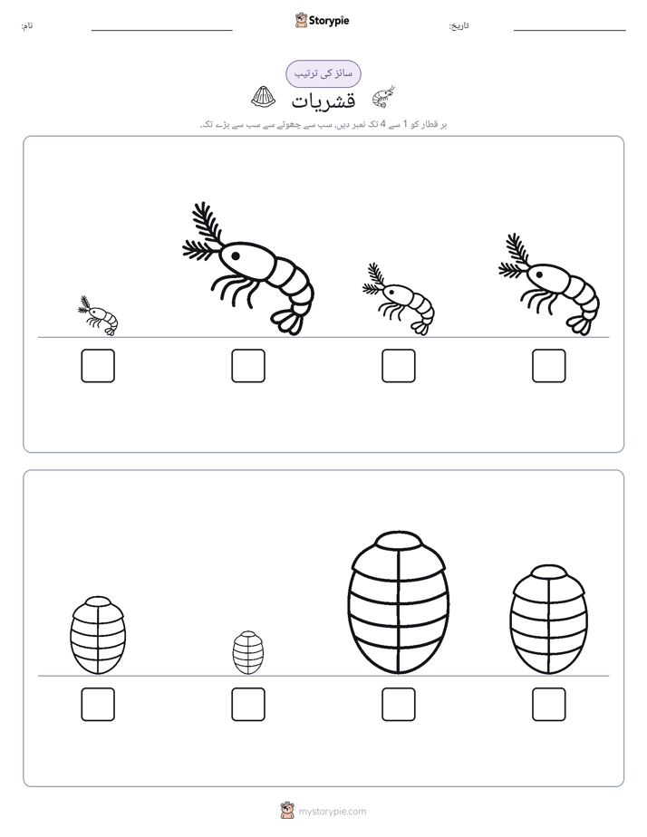سائز کی ترتیب