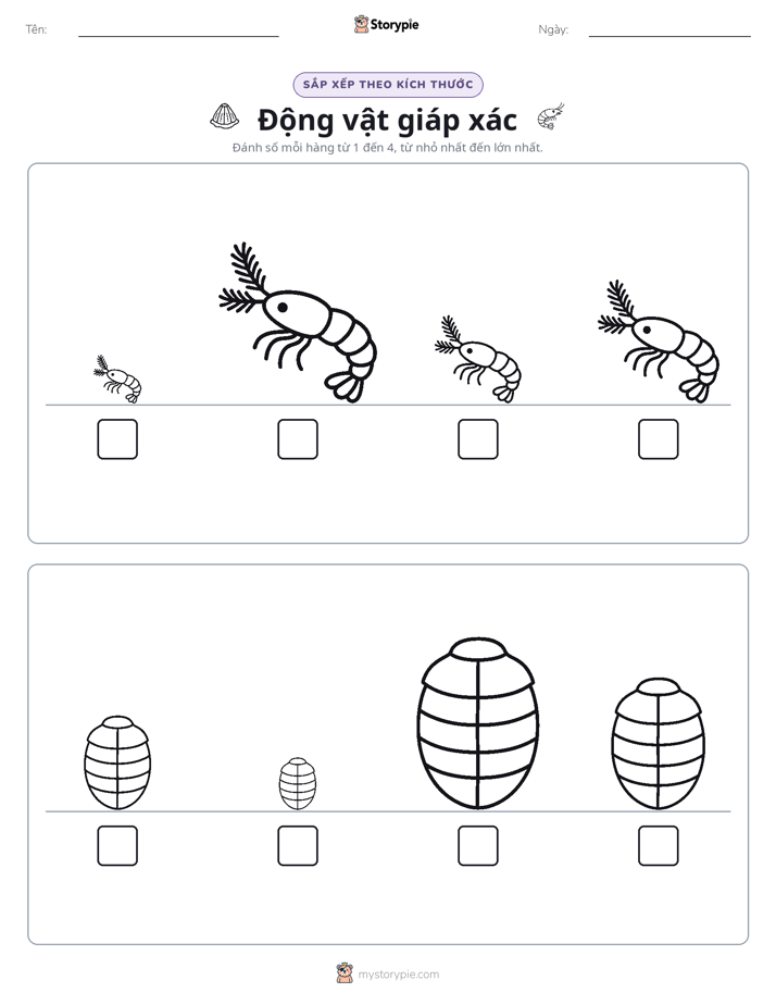 Thứ Tự Kích Thước