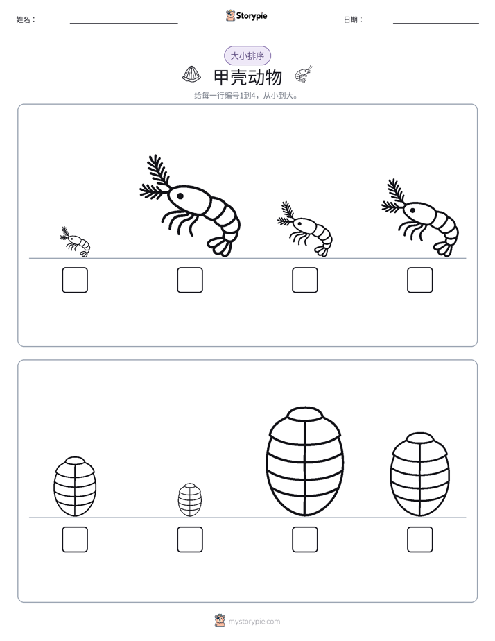 大小排序