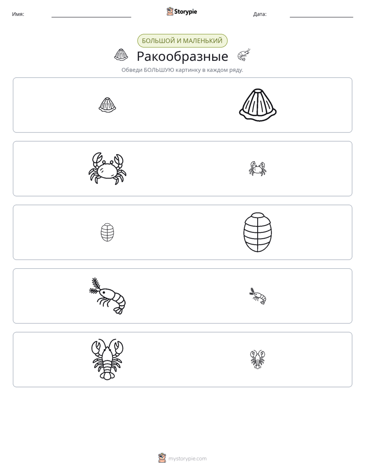 Сортировка