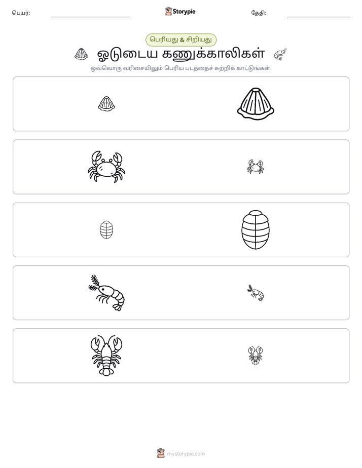 வகைப்படுத்தல்