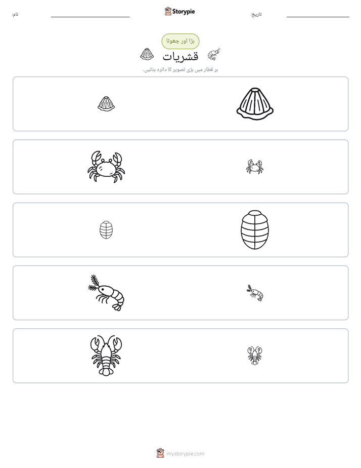 ترتیب دینا