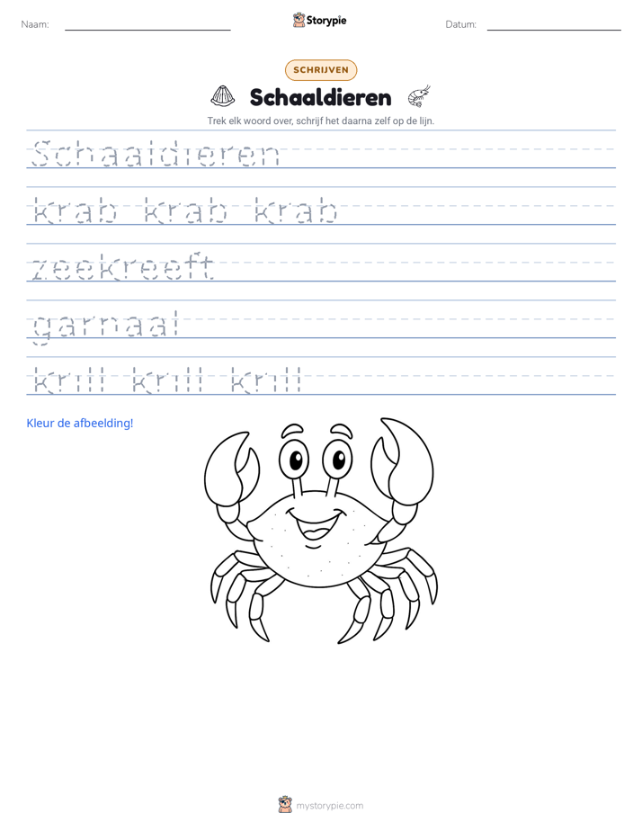 Schrijf Oefening