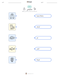 معاينة ورقة العمل القابلة للطباعة سايتس