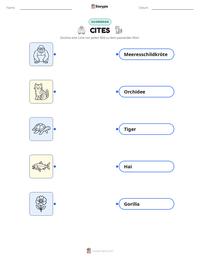 CITES druckbare Arbeitsblatt Vorschau
