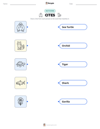 CITES printable worksheet preview