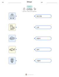 CITES 인쇄 가능한 워크시트 미리보기