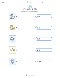 CITES 可打印工作表预览