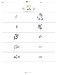 معاينة ورقة العمل القابلة للطباعة سايتس
