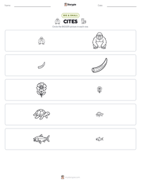 CITES printable worksheet preview
