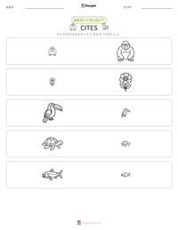 CITES の印刷可能ワークシートプレビュー