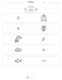 سائٹس پرنٹ کرنے کے قابل ورکشیٹ کا پیش نظارہ
