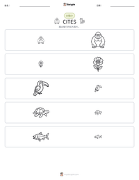 CITES 可打印工作表预览