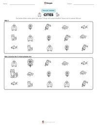CITES druckbare Arbeitsblatt Vorschau