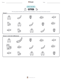 CITES printable worksheet preview