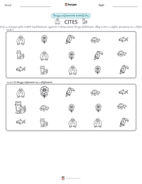 CITES அச்சிடக்கூடிய வேலைப்பதிவின் முன்னோட்டம்