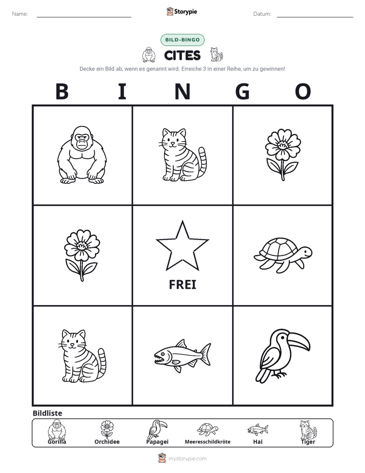 Bild-Bingo