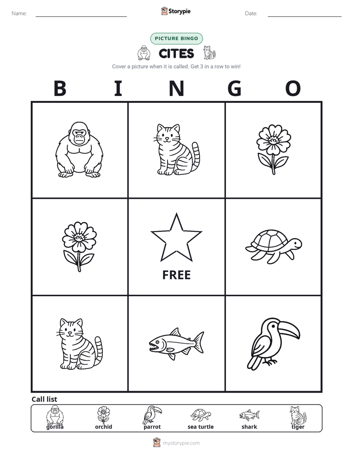 Picture Bingo