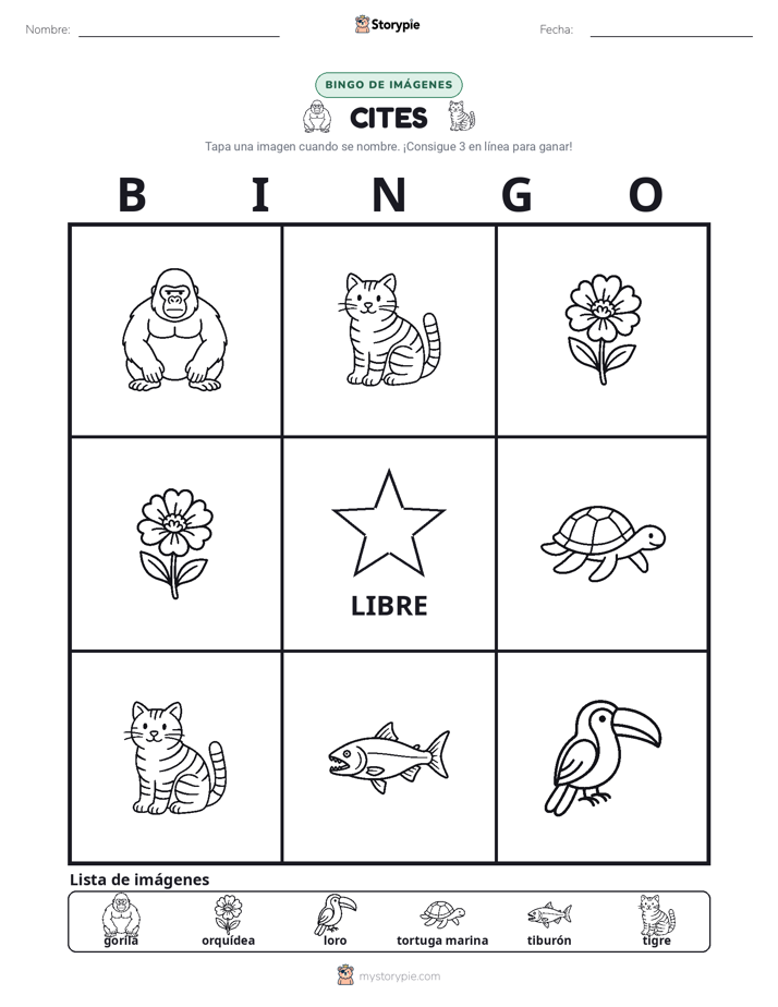 Bingo de Imágenes