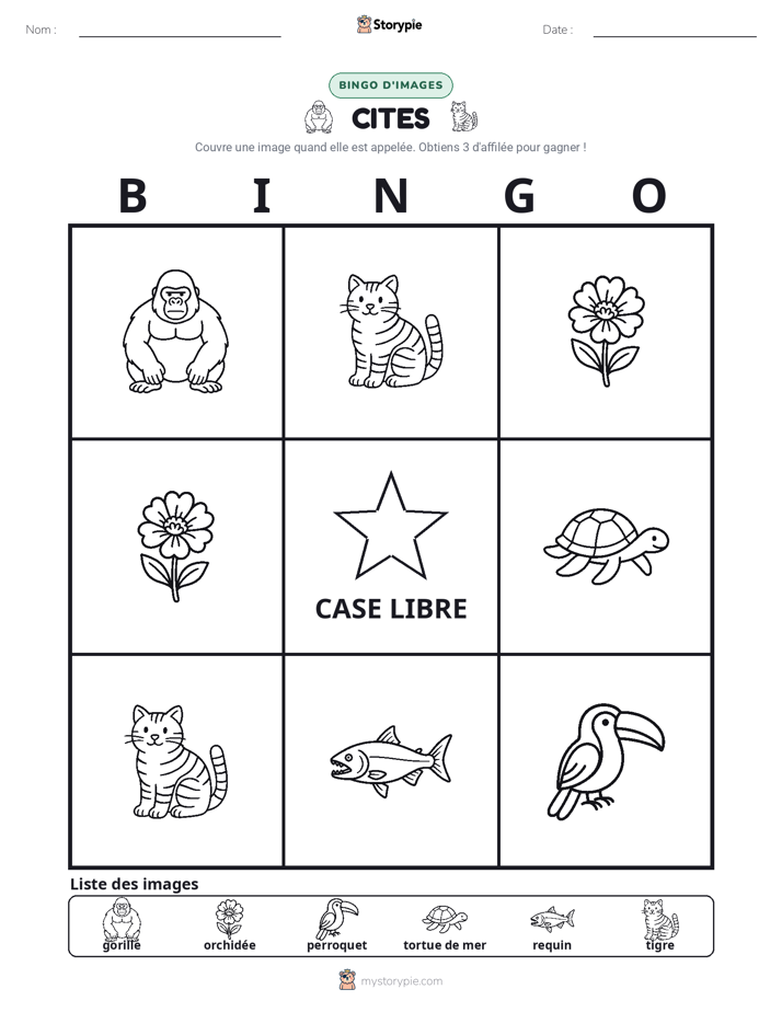 Bingo d'Images
