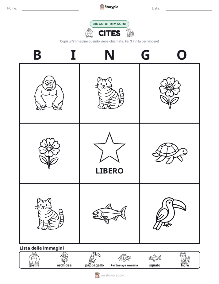 Bingo delle Immagini