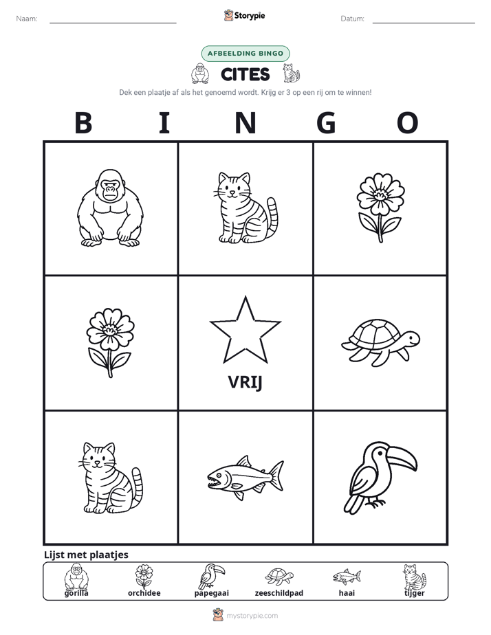 Afbeelding Bingo