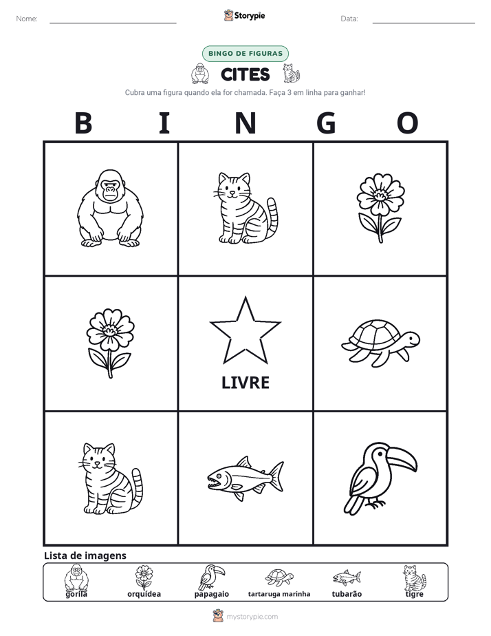 Bingo de Imagens