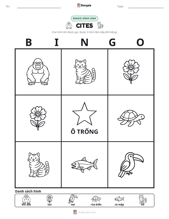 Bingo Hình Ảnh