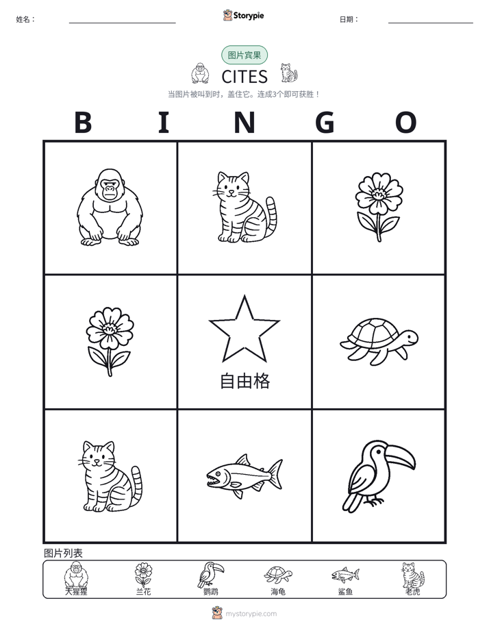 图片宾果