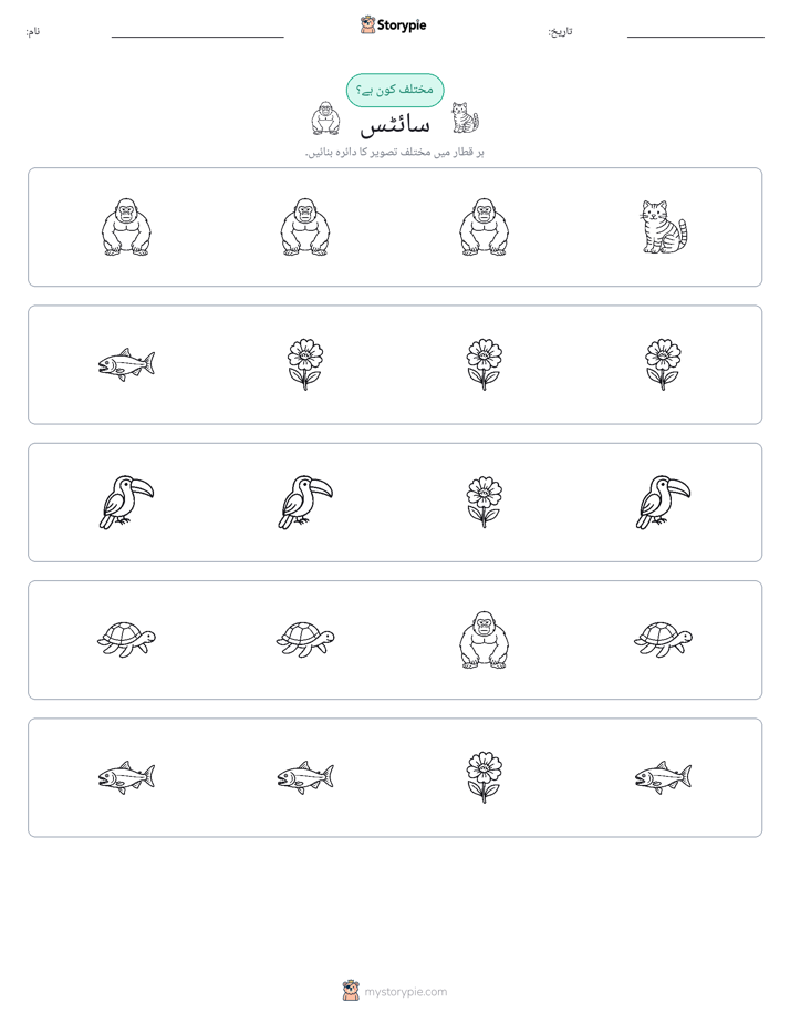 عجیب ایک