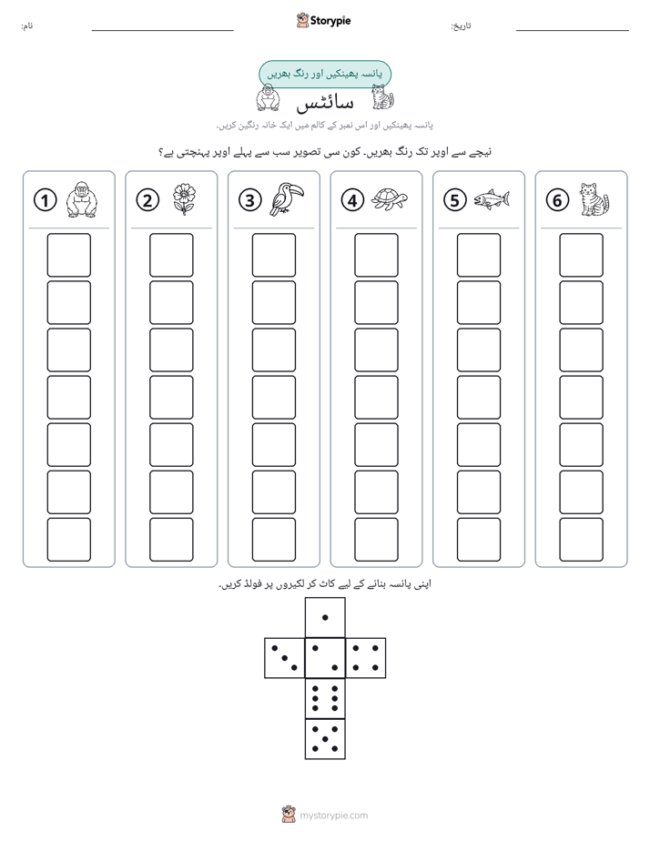 رول اور رنگ