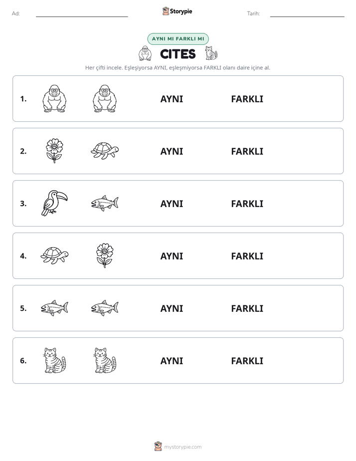 Aynı mı Farklı mı