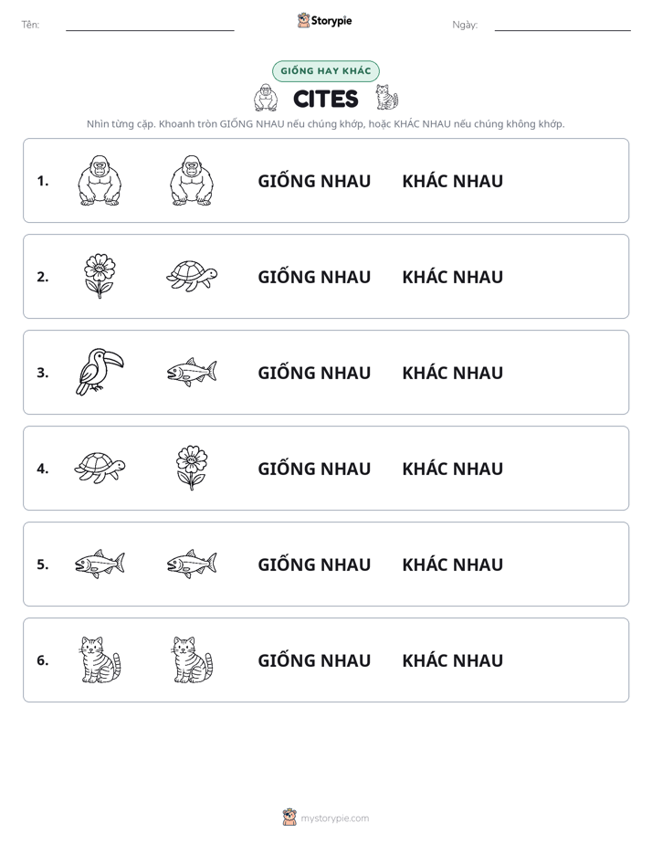 Giống Hay Khác