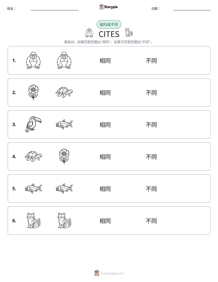 相同或不同