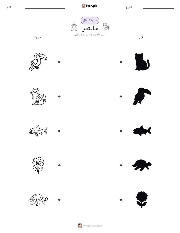 مطابقة الظل