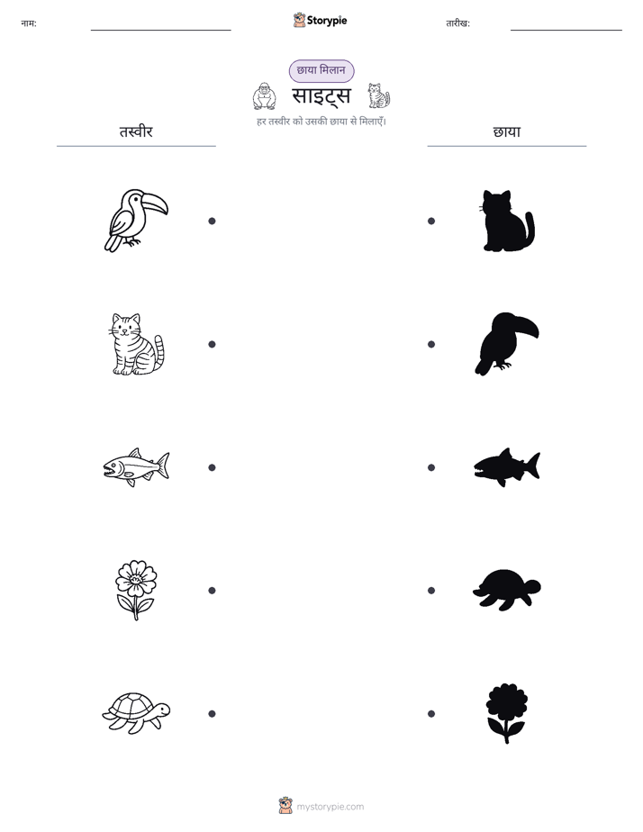 छाया मिलान