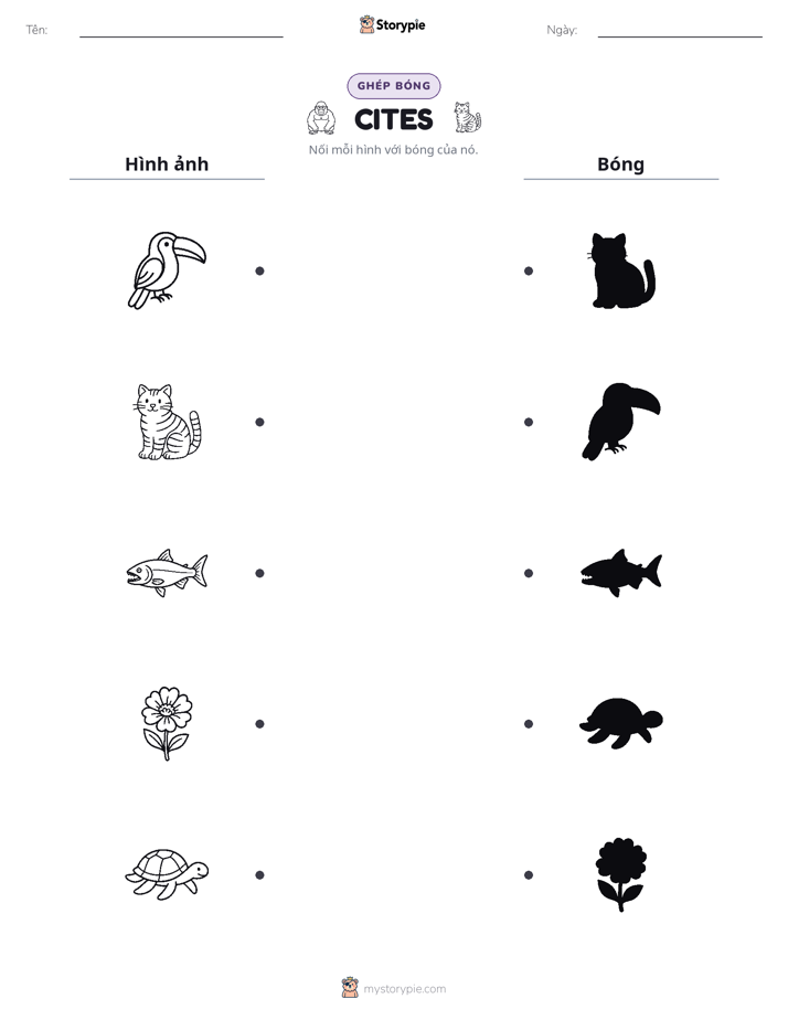 Ghép Hình Bóng