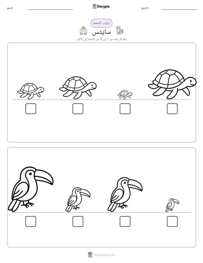 ترتيب الحجم