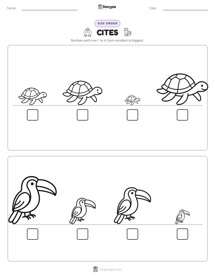 Size Order