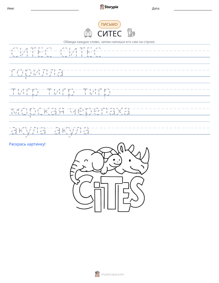Практика письма