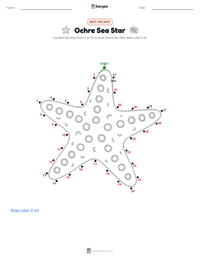 Ochre Sea Star printable worksheet preview