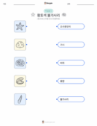 오커 불가사리 어린이용 인쇄 가능한 워크시트