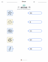 赭色海星 可打印工作表，适合儿童