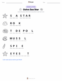 Ochre Sea Star printable worksheet preview