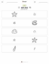 赭色海星 可打印工作表预览