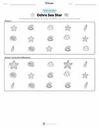 Ochre Sea Star printable worksheet preview