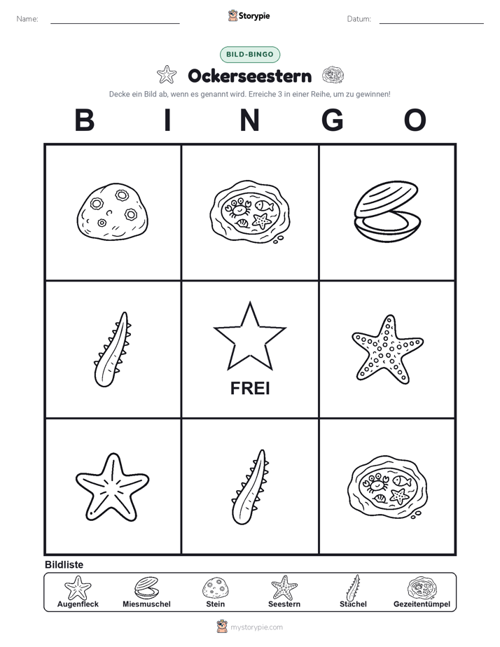 Bild-Bingo